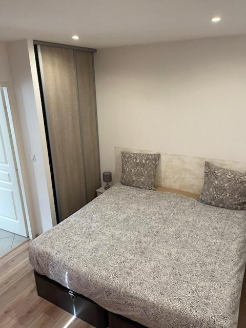 Appartement Oasis Proche De Lyon Groupama Lcdl Meyzieu Eksteriør bilde